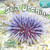 bokomslag Sea Urchins