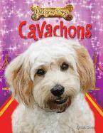 Ruth Owen - Cavachons, Häftad