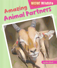 bokomslag Amazing Animal Partners