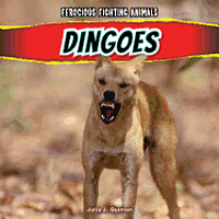 Julia J. Quinlan - Dingoes, Häftad. Tillgänglighet: Tillfälligt slut