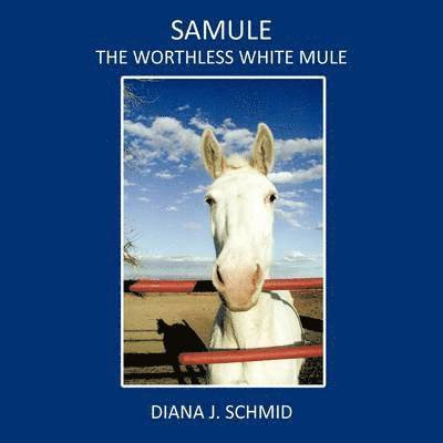 SaMule the Worthless White Mule 1