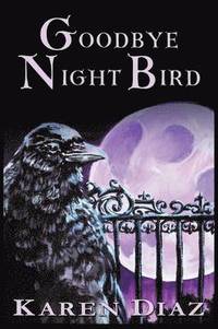 bokomslag Goodbye Nightbird