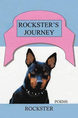 Rockster's Journey 1