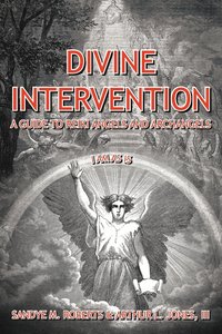 bokomslag Divine Intervention