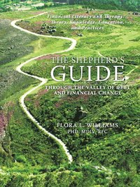 bokomslag The Shepherd's Guide Through the Valley of Debt and Financial Change