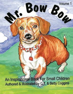 bokomslag Mr. Bowbow