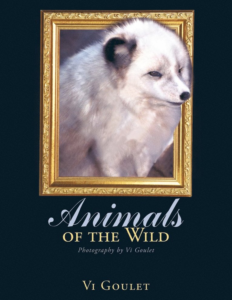 Animals of the Wild 1