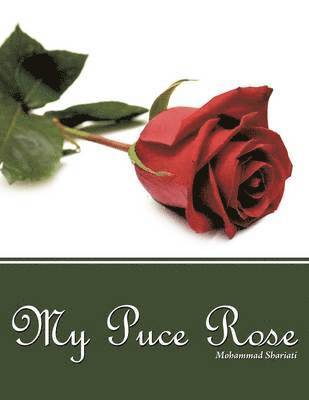 My Puce Rose 1