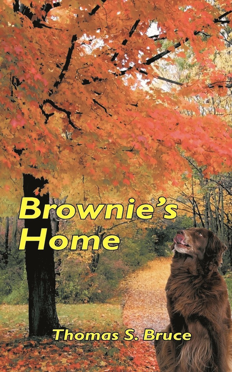 Brownie's Home 1