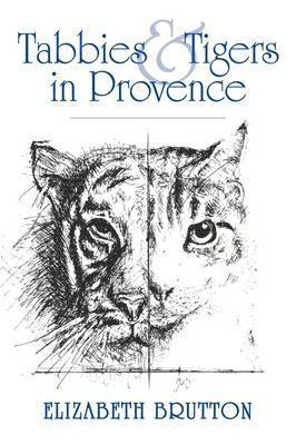 Tabbies and Tigers in Provence 1