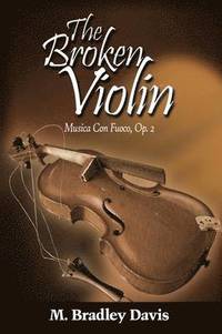 bokomslag The Broken Violin