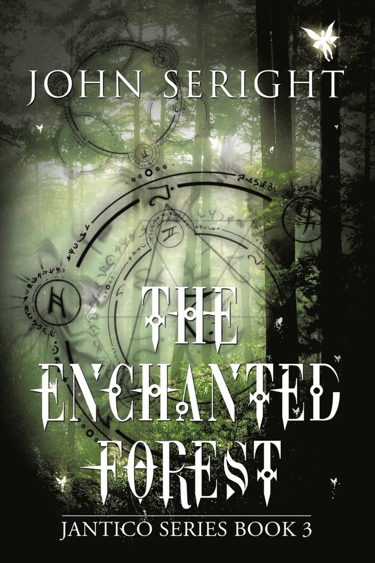 The Enchanted Forest 1