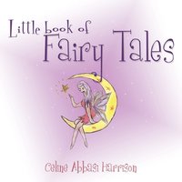 bokomslag Little Book of Fairy Tales