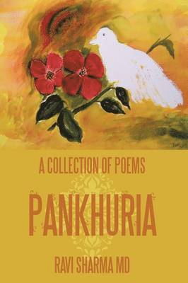 bokomslag A Collection of Poems Pankhuria