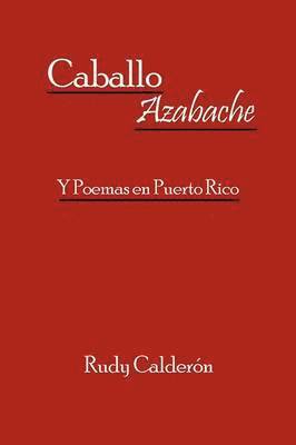 Caballo Azabache 1