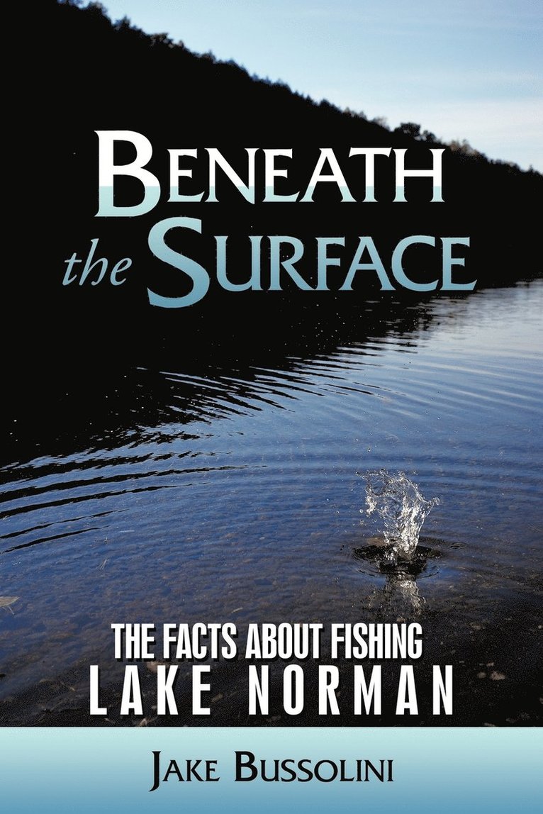 Beneath the Surface 1