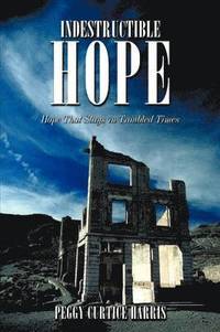 bokomslag Indestructible Hope