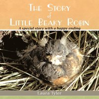 bokomslag The Story of Little Beaky Robin