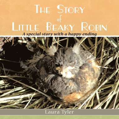bokomslag Story of Little Beaky Robin