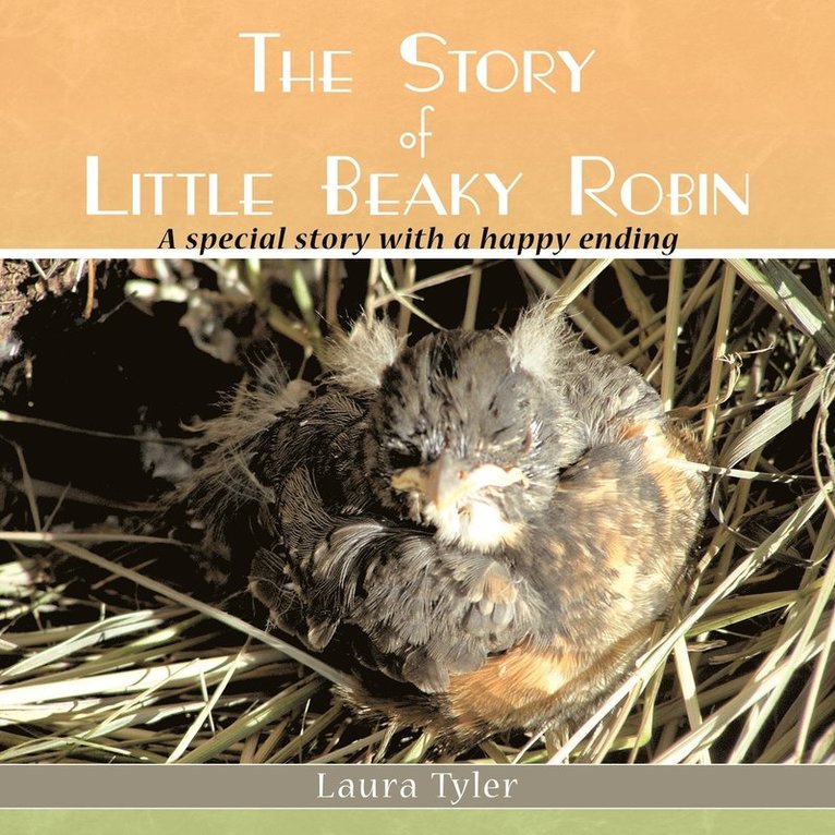Laura Tyler - Story of Little Beaky Robin, Häftad