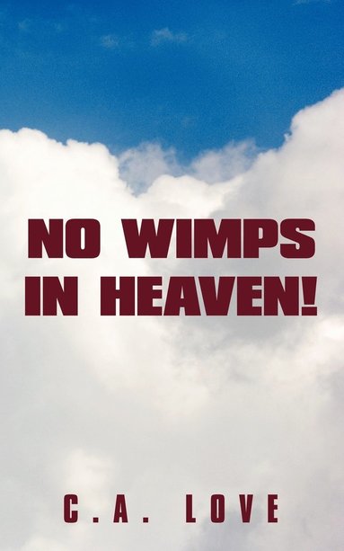 bokomslag No Wimps in Heaven!