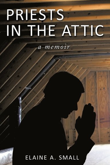 bokomslag Priests in the Attic