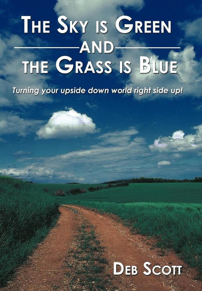 The Sky is Green and the Grass is Blue 1