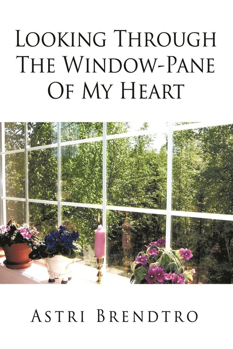 Looking Through The Window-Pane Of My Heart 1