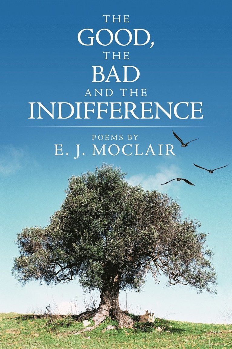 The Good, the Bad and the Indifference 1