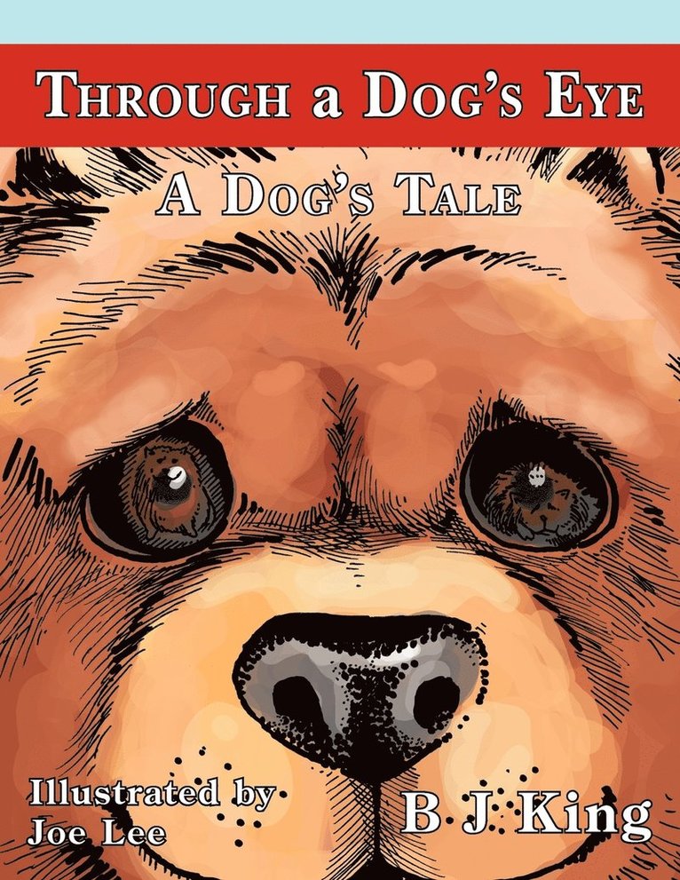 Through a Dog's Eye 1