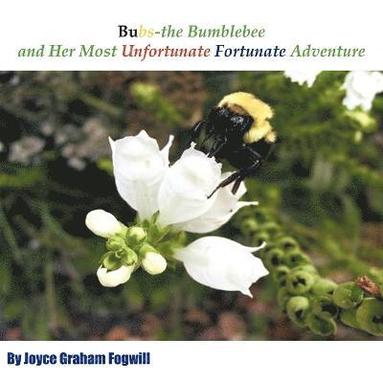 bokomslag Bubs the Bumblebee and Her Most Unfortunate Fortunate Adventure