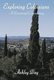 Ashley Day - Exploring Colossians, Inbunden