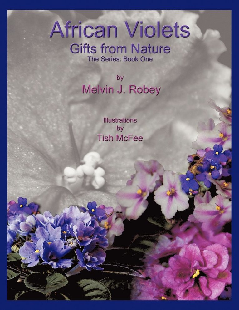 African Violets - Gifts From Nature 1
