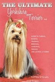 bokomslag The Ultimate Yorkshire Terrier Book