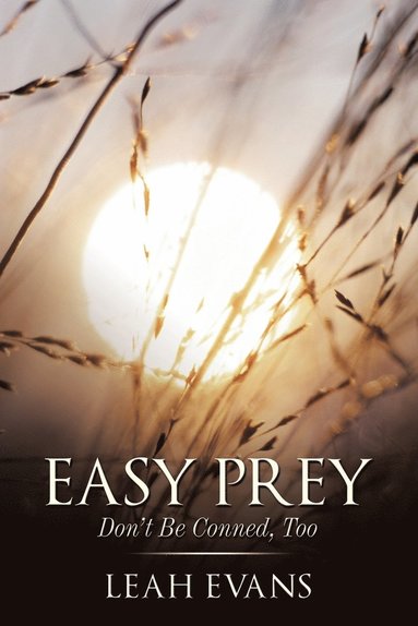 bokomslag Easy Prey