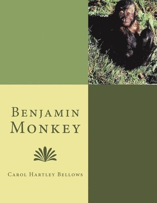 bokomslag Benjamin Monkey