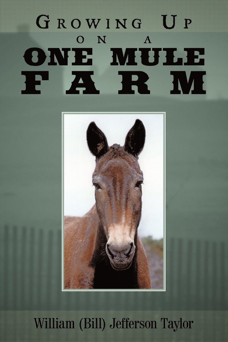 Growing Up on a One Mule Farm 1