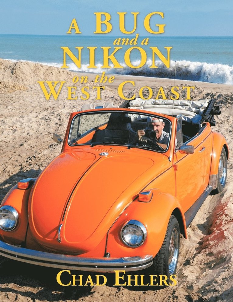 Bug and a Nikon on the West Coast