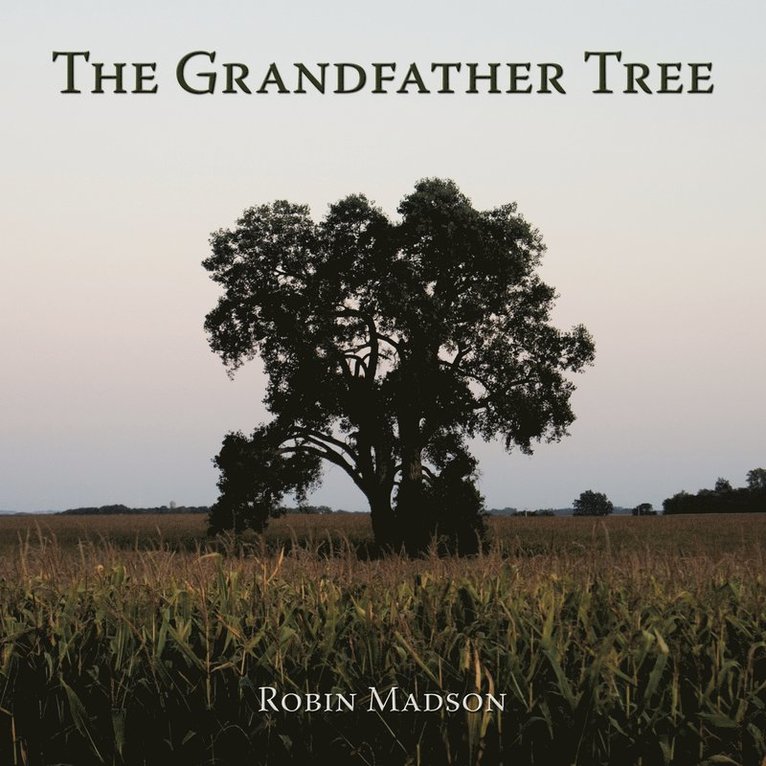 Grandfather Tree 1
