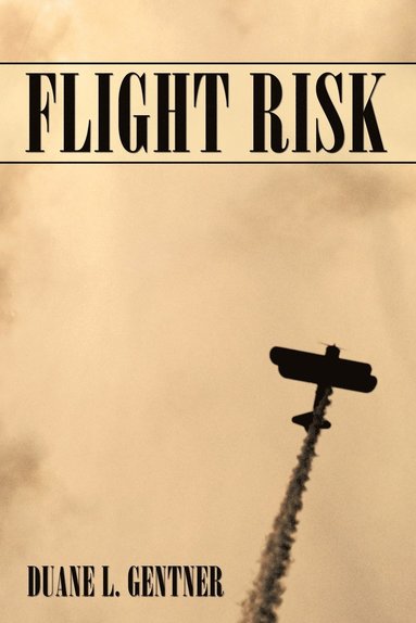 bokomslag Flight Risk