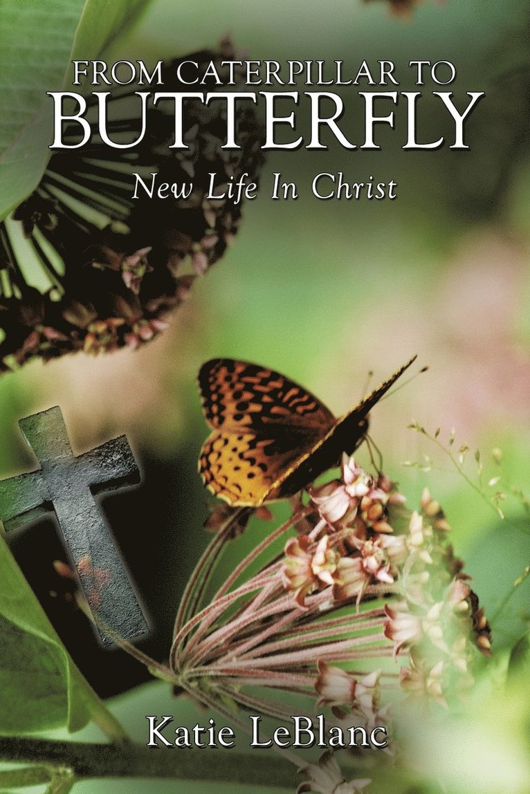 Katie LeBlanc - From Caterpillar to Butterfly, Häftad