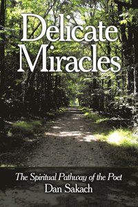 bokomslag Delicate Miracles