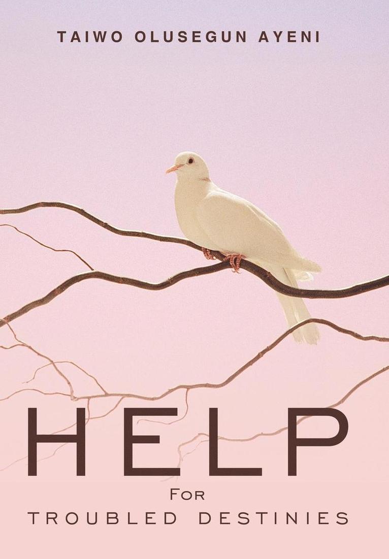 Taiwo Olusegun Ayeni - Help For Troubled Destinies, Inbunden