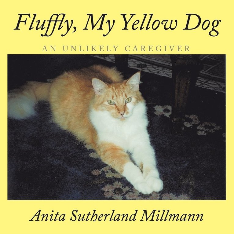 Fluffly, My Yellow Dog 1