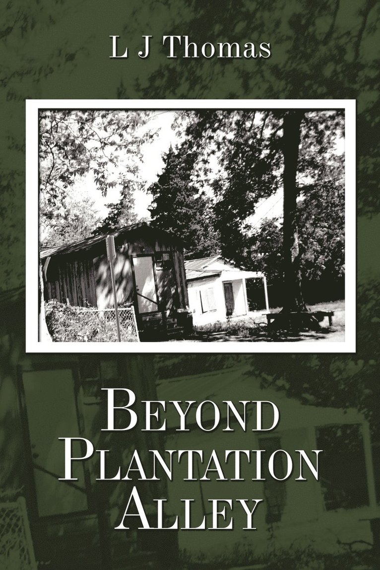 Beyond Plantation Alley