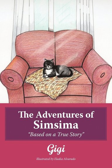 bokomslag Adventures of Simsima