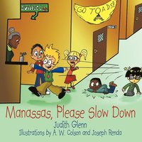bokomslag Manassas, Please Slow Down