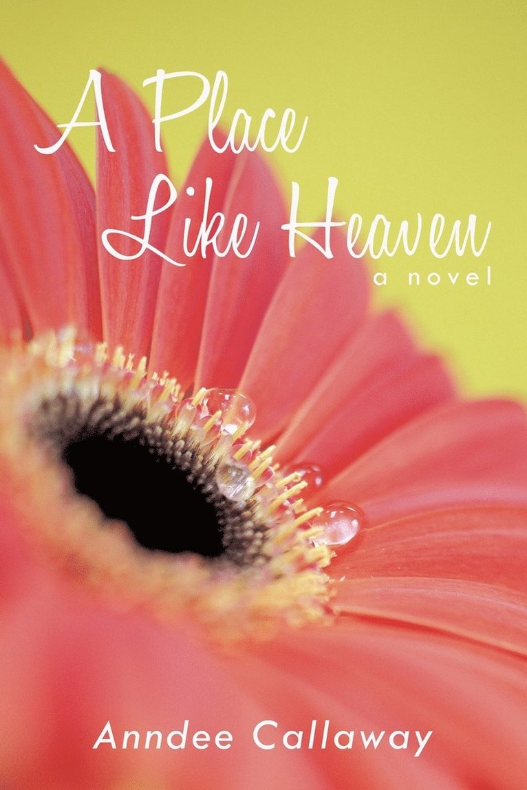 Place Like Heaven 1