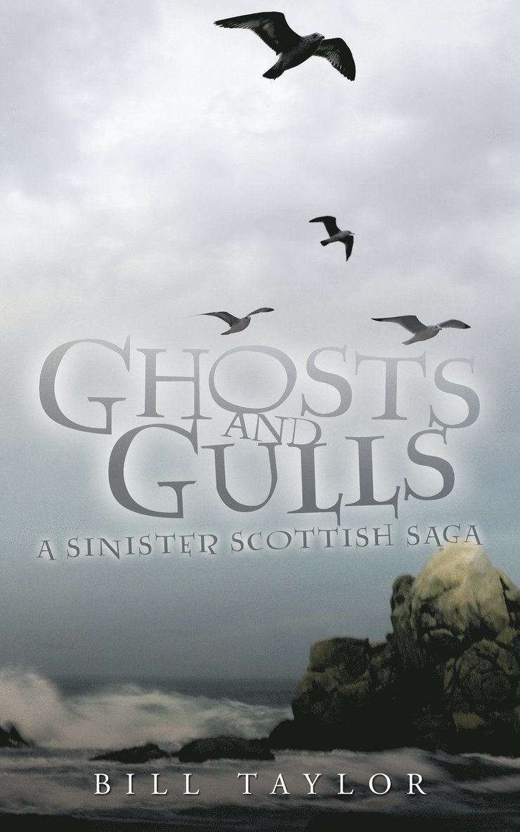 Ghosts and Gulls 1