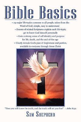 Sam Shepherd - Bible Basics, Häftad